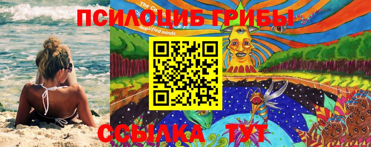 Псилоцибиновые грибы прущие грибы Выборг