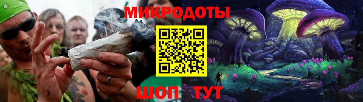 Выборг  Псилоцибиновые грибы Psilocybine cubensis  Вход с VPN 